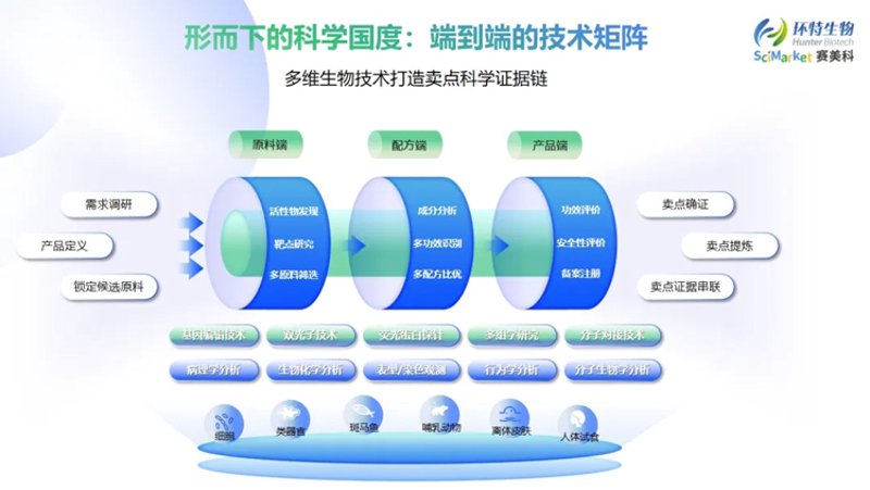 婚宴酒店：打造浪漫与温馨的完美结合