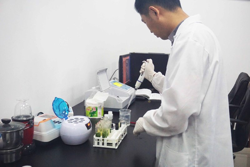 婚宴酒店：打造浪漫与温馨的完美结合