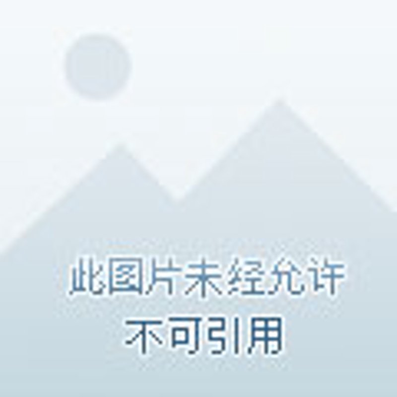打造梦幻婚礼现场 —— 经典案例分析